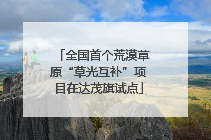 全国首个荒漠草原“草光互补”项目在达茂旗试点