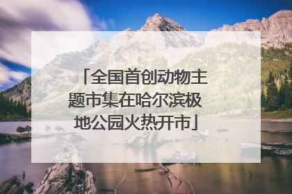 全国首创动物主题市集在哈尔滨极地公园火热开市
