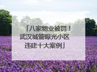 八家物业被罚！武汉城管曝光小区违建十大案例