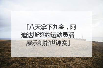 八天拿下九金，阿迪达斯签约运动员潘展乐剑指世锦赛