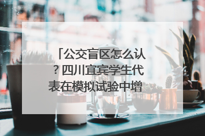 公交盲区怎么认？四川宜宾学生代表在模拟试验中增强乘车安全意识