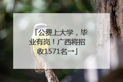 公费上大学，毕业有岗！广西将招收1571名→