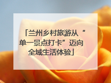 兰州乡村旅游从“单一景点打卡”迈向全域生活体验