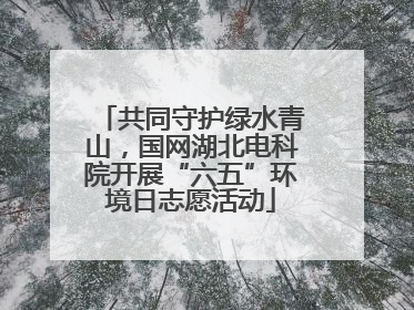 共同守护绿水青山，国网湖北电科院开展“六五”环境日志愿活动