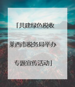 共建绿色税收 莱西市税务局举办专题宣传活动