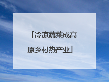 冷凉蔬菜成高原乡村热产业