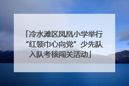 冷水滩区凤凰小学举行“红领巾心向党”少先队入队考核闯关活动