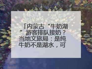 内蒙古“牛奶湖”游客排队接奶？当地文旅局：是纯牛奶不是湖水，可放心喝