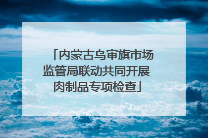 内蒙古乌审旗市场监管局联动共同开展肉制品专项检查