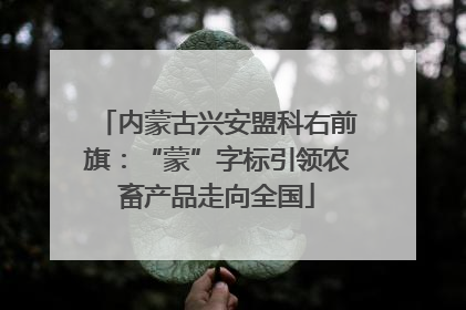 内蒙古兴安盟科右前旗：“蒙”字标引领农畜产品走向全国