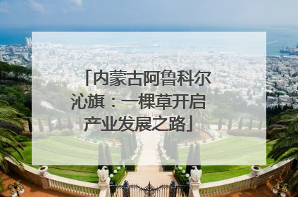 内蒙古阿鲁科尔沁旗：一棵草开启产业发展之路