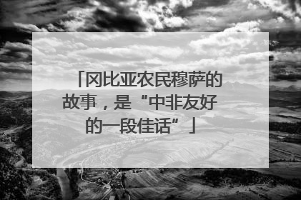 冈比亚农民穆萨的故事，是“中非友好的一段佳话”