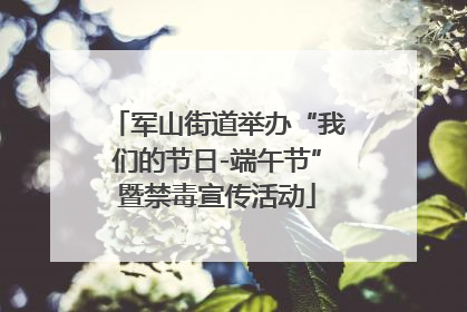 军山街道举办“我们的节日-端午节”暨禁毒宣传活动