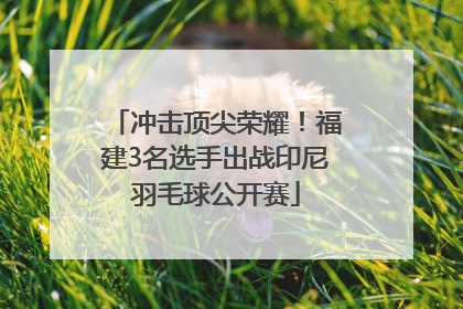 冲击顶尖荣耀！福建3名选手出战印尼羽毛球公开赛