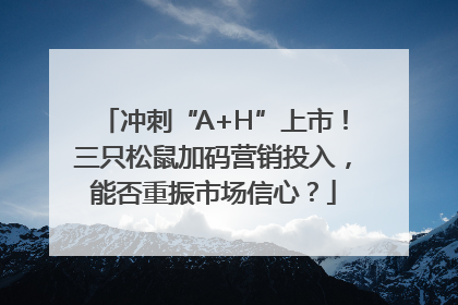 冲刺“A+H”上市！三只松鼠加码营销投入，能否重振市场信心？