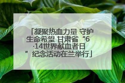 凝聚热血力量 守护生命希望 甘肃省“6 ·14世界献血者日”纪念活动在兰举行