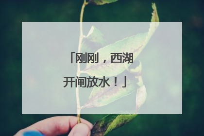 刚刚，西湖开闸放水！