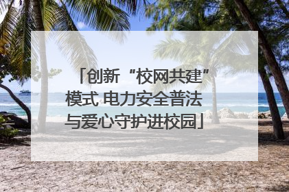 创新“校网共建”模式 电力安全普法与爱心守护进校园