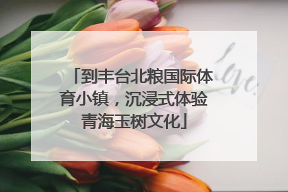 到丰台北粮国际体育小镇，沉浸式体验青海玉树文化