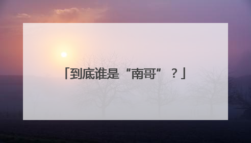 到底谁是“南哥”？