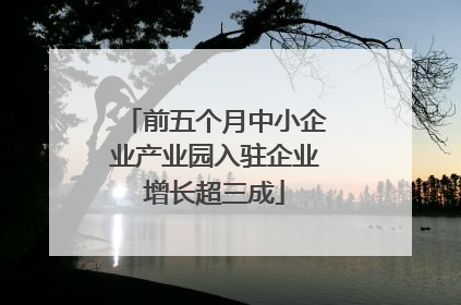 前五个月中小企业产业园入驻企业增长超三成