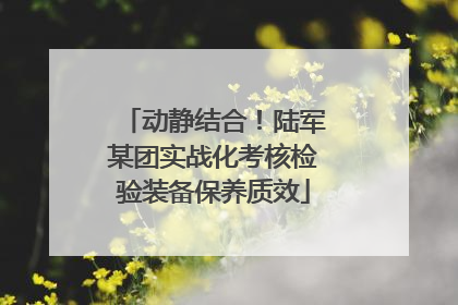 动静结合！陆军某团实战化考核检验装备保养质效