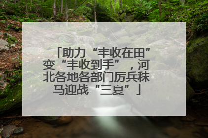 助力“丰收在田”变“丰收到手”，河北各地各部门厉兵秣马迎战“三夏”