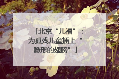 北京“儿福”：为孤残儿童插上“隐形的翅膀”