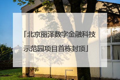 北京丽泽数字金融科技示范园项目首栋封顶