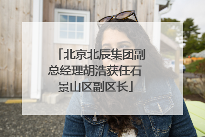 北京北辰集团副总经理胡浩获任石景山区副区长