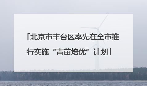 北京市丰台区率先在全市推行实施“青苗培优”计划