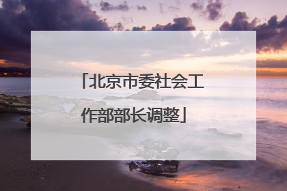 北京市委社会工作部部长调整