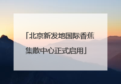 北京新发地国际香蕉集散中心正式启用