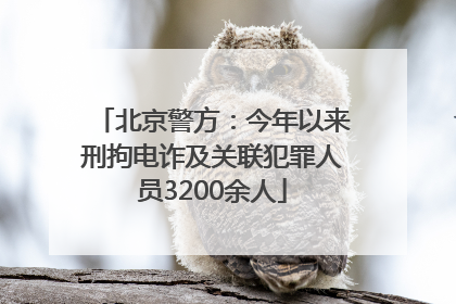 北京警方：今年以来刑拘电诈及关联犯罪人员3200余人