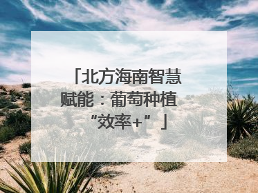 北方海南智慧赋能：葡萄种植“效率+”