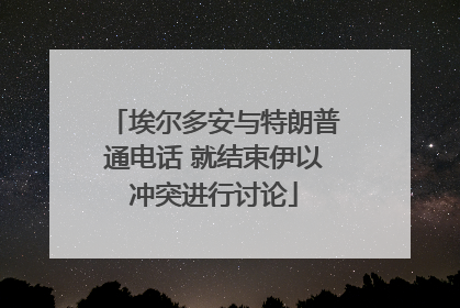 埃尔多安与特朗普通电话 就结束伊以冲突进行讨论