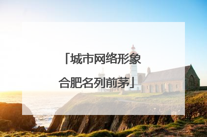 城市网络形象合肥名列前茅