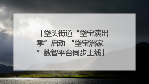 垡头街道“垡宝演出季”启动 “垡宝治家”数智平台同步上线