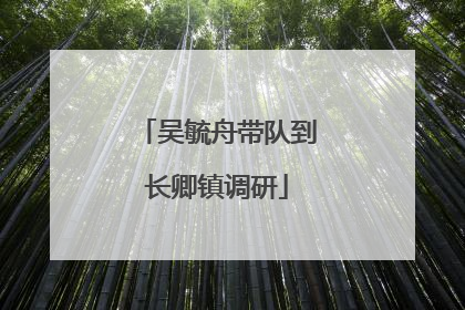 吴毓舟带队到长卿镇调研