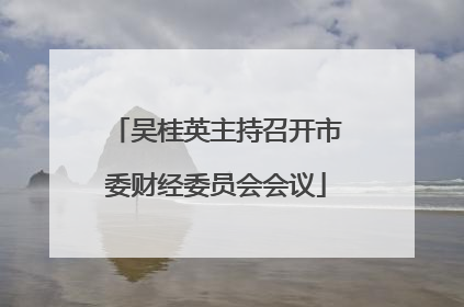 吴桂英主持召开市委财经委员会会议