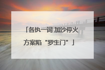 各执一词 加沙停火方案陷“罗生门”