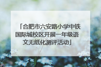 合肥市六安路小学中铁国际城校区开展一年级语文无纸化测评活动