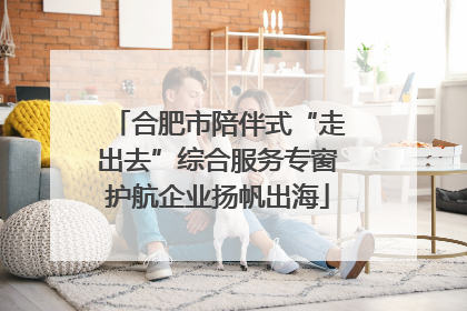 合肥市陪伴式“走出去”综合服务专窗护航企业扬帆出海