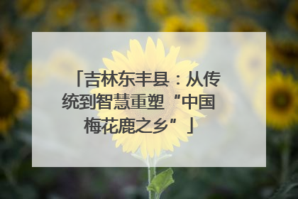 吉林东丰县：从传统到智慧重塑“中国梅花鹿之乡”