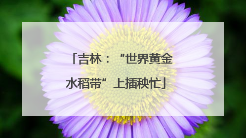 吉林：“世界黄金水稻带”上插秧忙
