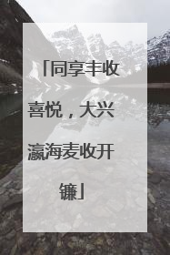 同享丰收喜悦，大兴瀛海麦收开镰