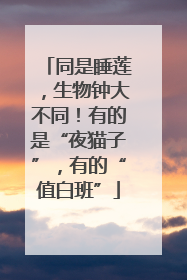 同是睡莲，生物钟大不同！有的是“夜猫子”，有的“值白班”