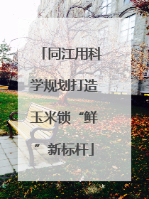 同江用科学规划打造玉米锁“鲜”新标杆