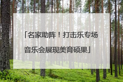 名家助阵！打击乐专场音乐会展现美育硕果