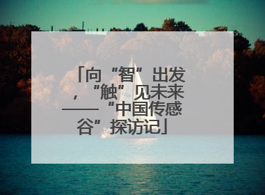 向“智”出发，“触”见未来——“中国传感谷”探访记